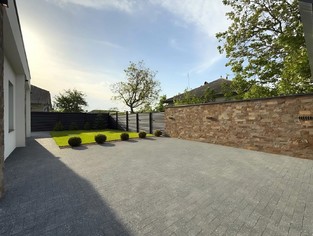 IMG_7039