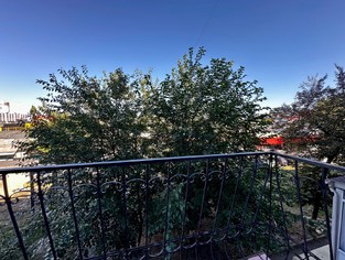 IMG_5559