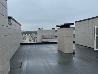 IMG_2887