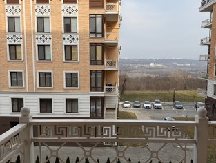 IMG_0494