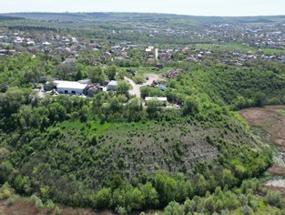 DJI_0959