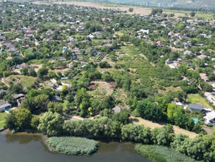 DJI_0367