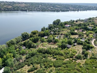 DJI_0381