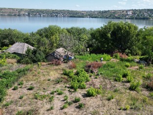 DJI_0383