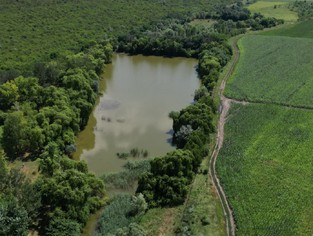 DJI_0306