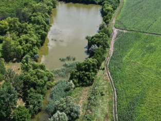 DJI_0307