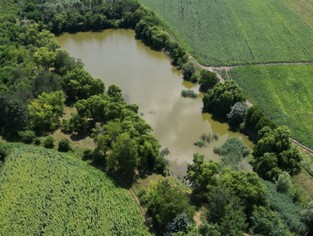 DJI_0311