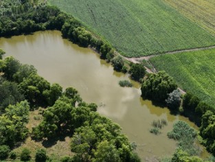 DJI_0312