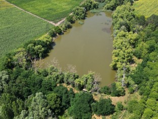 DJI_0317