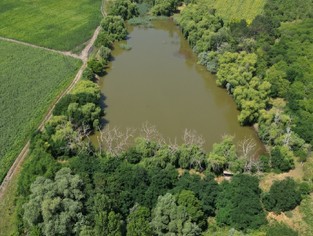 DJI_0318